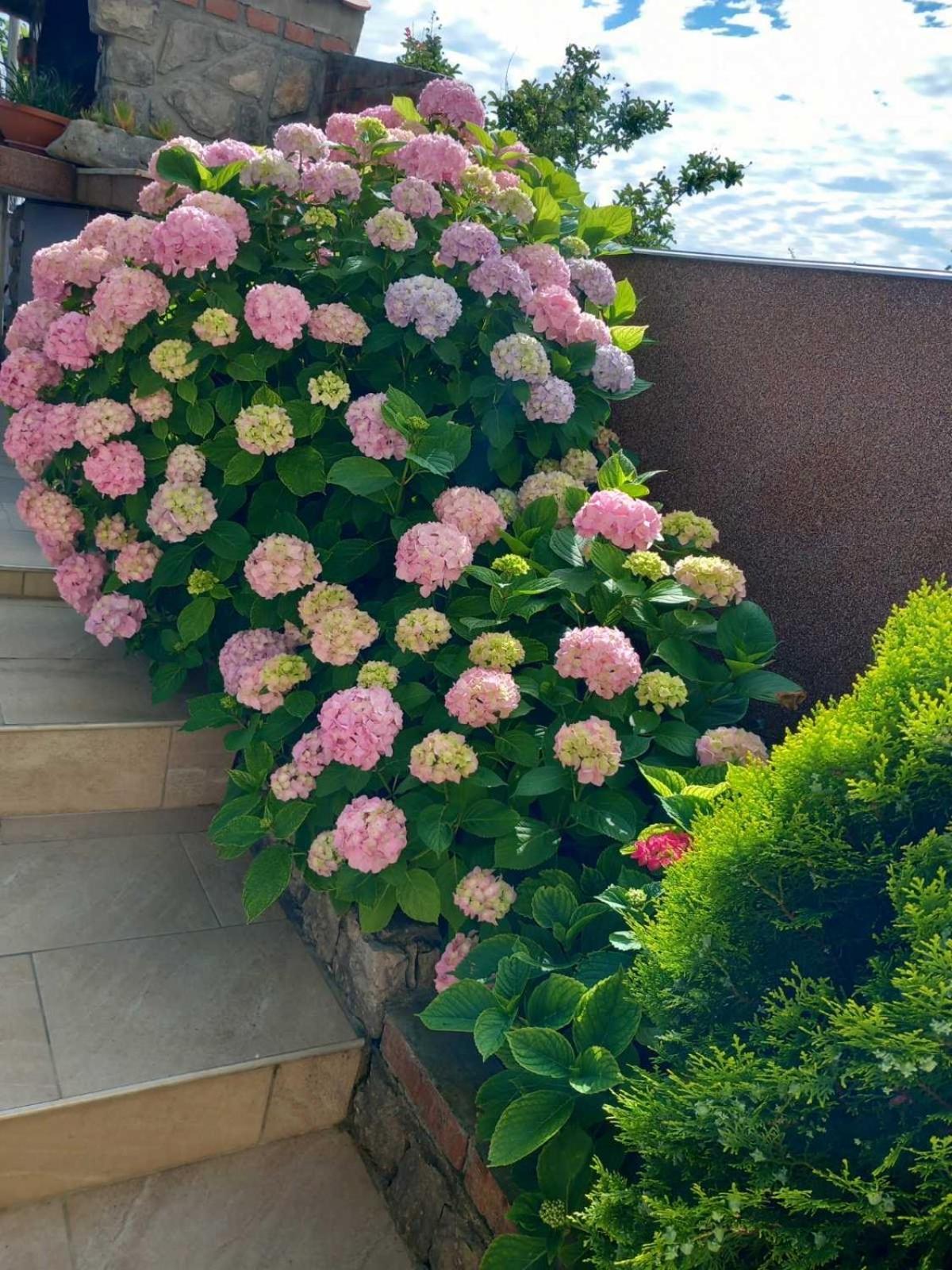 Ela I Gabi Omišalj Exterior foto